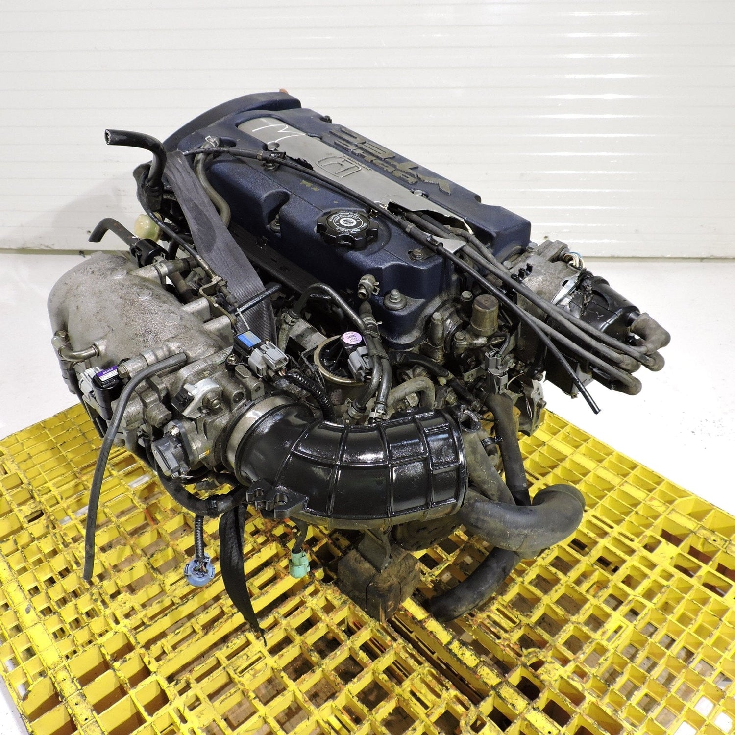 Honda Accord 2.3L JDM Engine Dohc Vtec H23a Blue Top