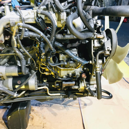 Nissan 3.2l 4wd Turbo Diesel Engine Transmission JDM Automatic Swap Qd32