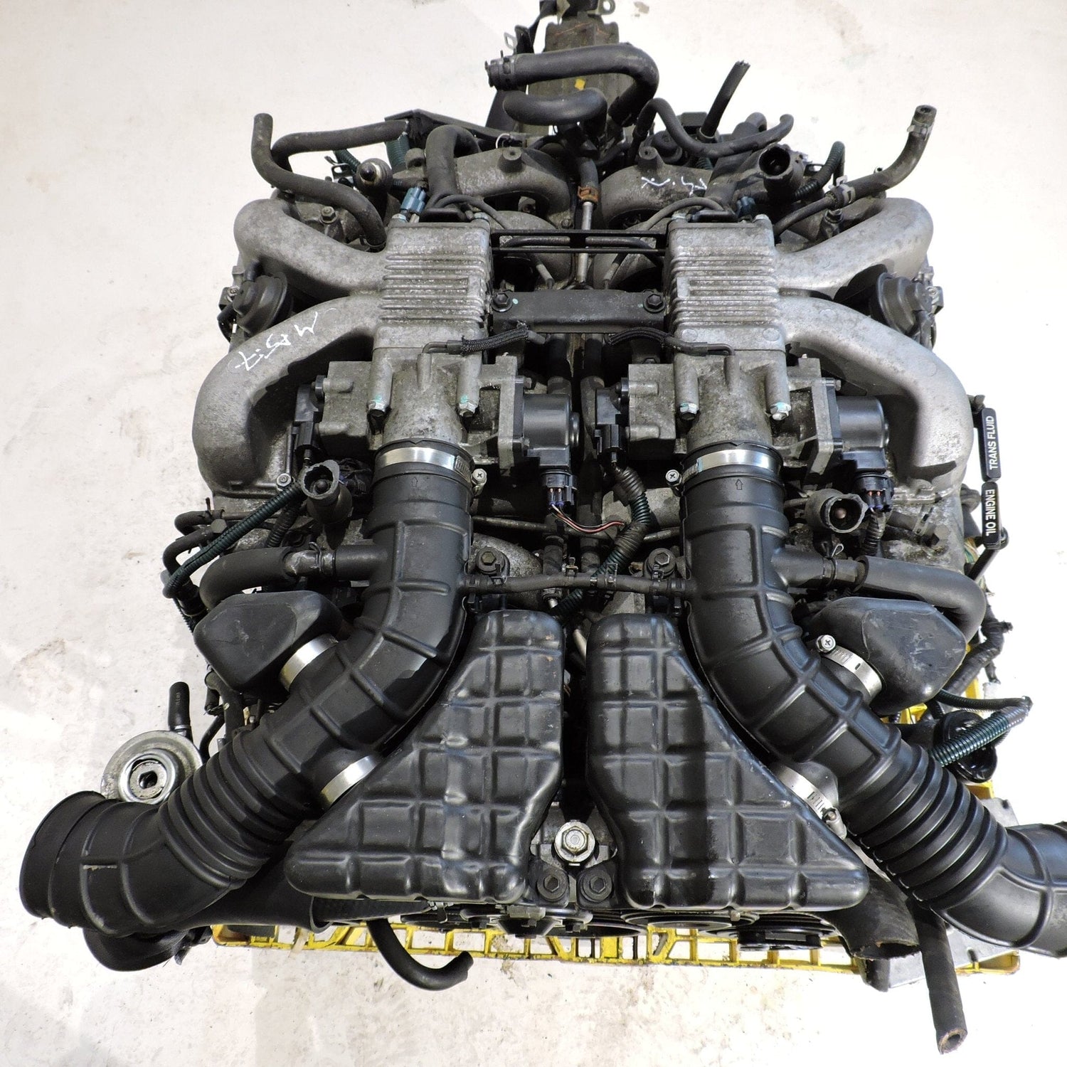 Toyota Century 5.0L V12 Full Automatic Engine Transmission JDM Swap - 1GZ-FE