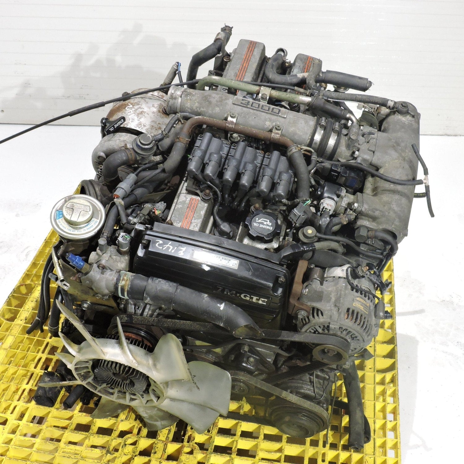 Toyota Supra 1986-1992 3.0L JDM Engine - 7m-Gte